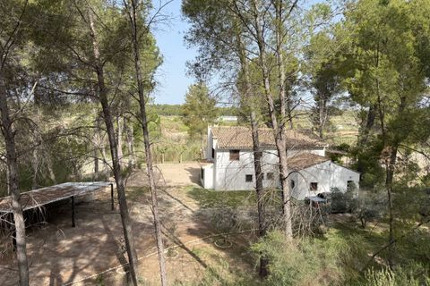 Landejendom i Calasparra, Murcia, Calasparra - € 325.000 | Ref: OFH-333 - foto 11